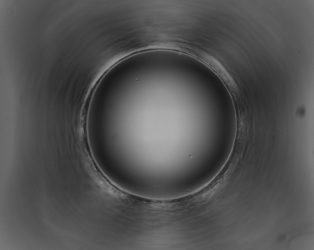 X0000090420908200707131206