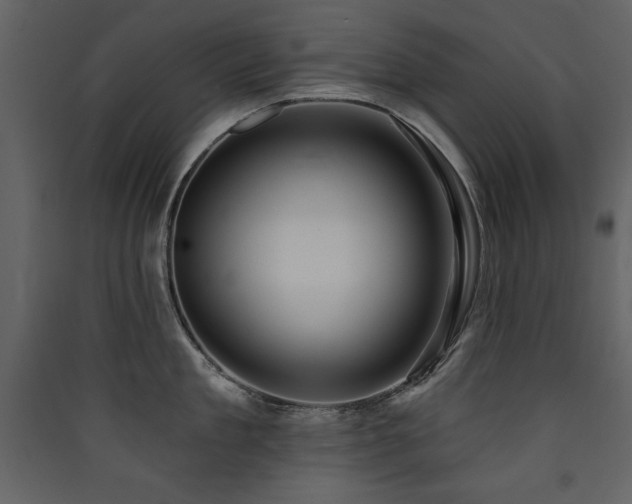 X0000090420909200707131206
