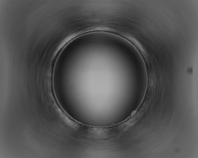 X0000090420910200707131206