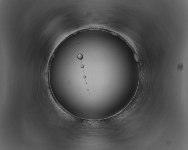 X0000090420911200707131206