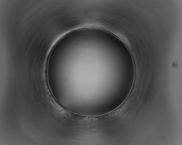 X0000090420912200707131206