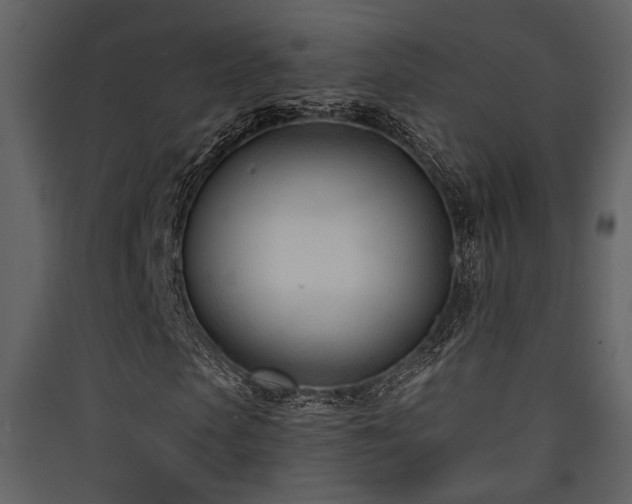 X0000090420913200707131205