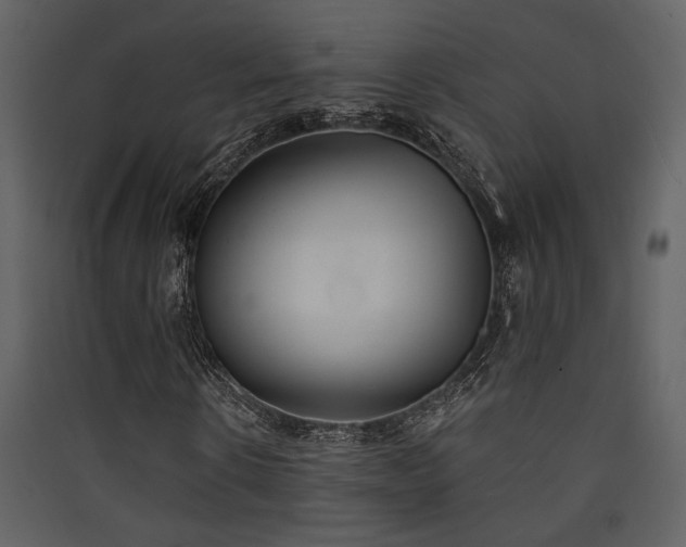 X0000090420914200707131205