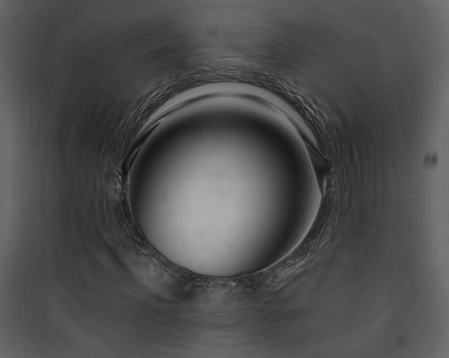 X0000090420916200707131205