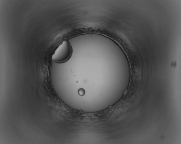 X0000090420918200707131205