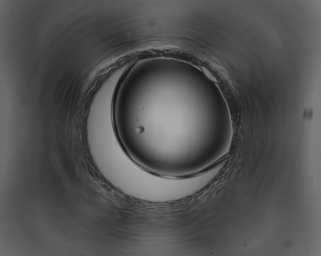 X0000090420920200707131205