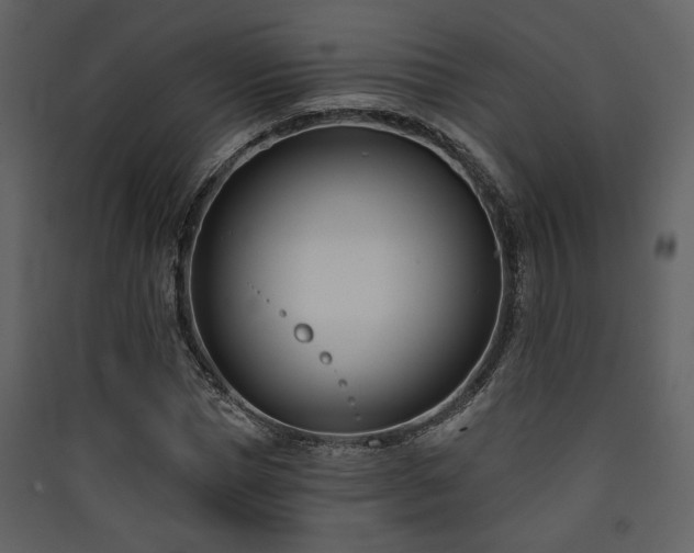 X0000090420921200707131205