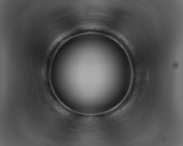 X0000090420922200707131205
