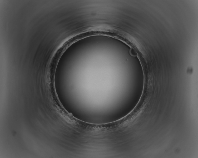 X0000090420923200707131205