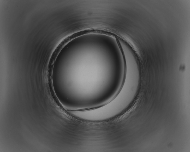 X0000090420924200707131205