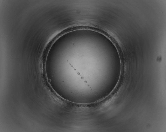 X0000090420925200707131206
