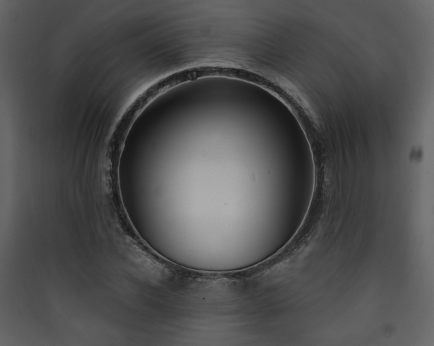X0000090420926200707131206
