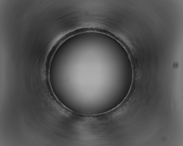 X0000090420927200707131206