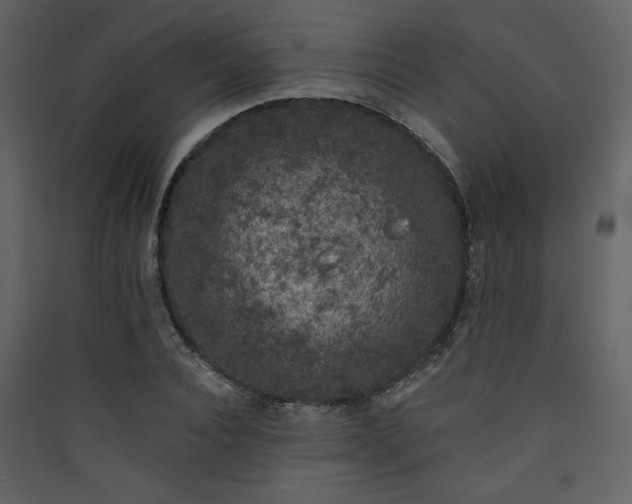 X0000090420928200707131206