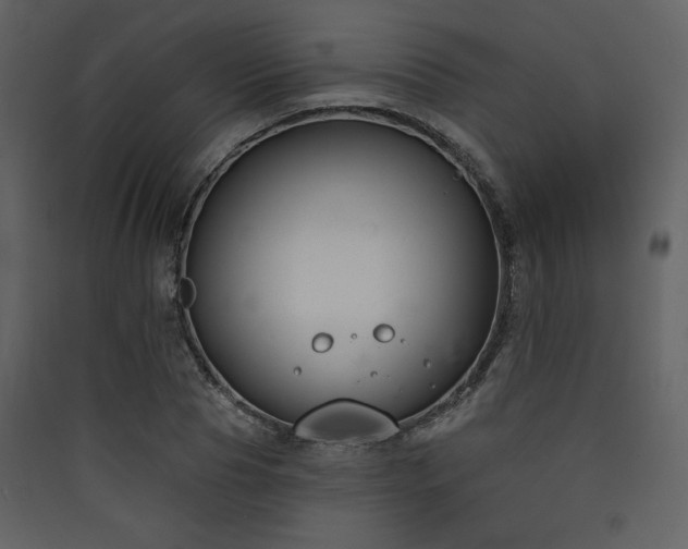 X0000090420929200707131206