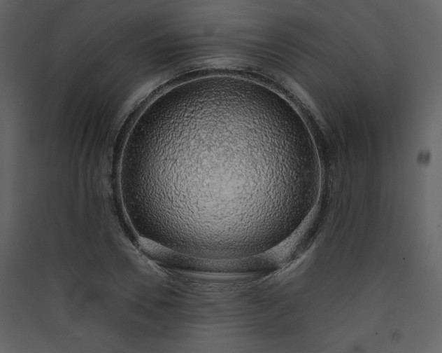 X0000090420930200707131206