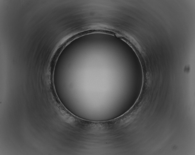 X0000090420931200707131206