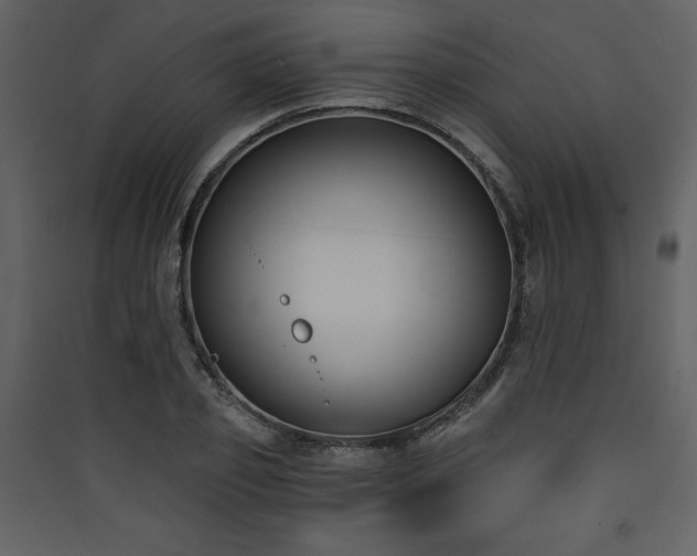 X0000090420933200707131206