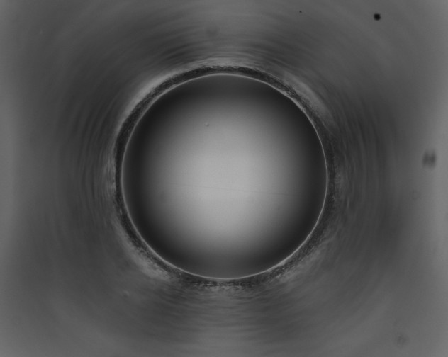 X0000090420934200707131206