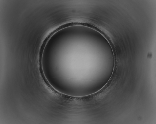 X0000090420935200707131206