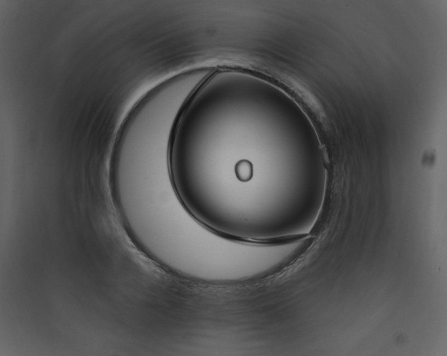 X0000090420936200707131206