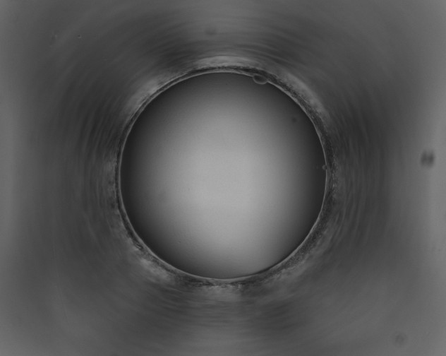 X0000090420937200707131206