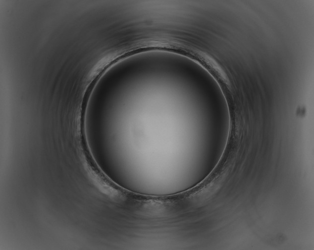X0000090420938200707131206