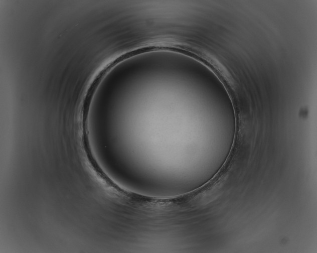 X0000090420939200707131206