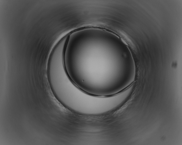 X0000090420940200707131206