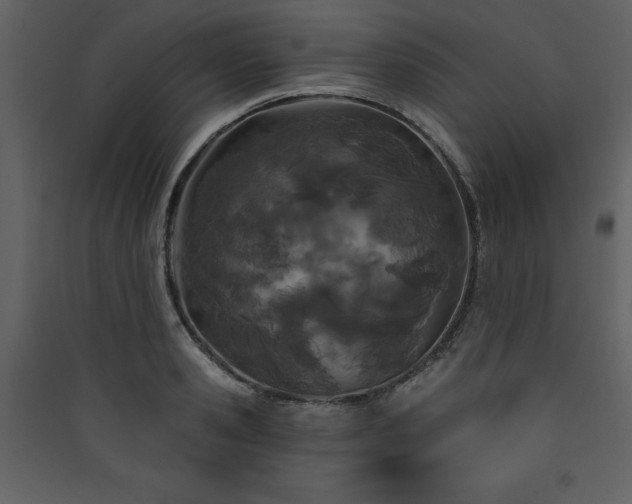 X0000090420941200707131206
