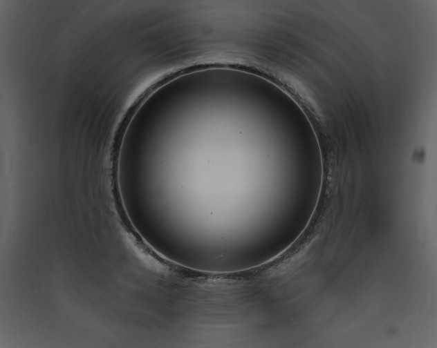 X0000090420942200707131206