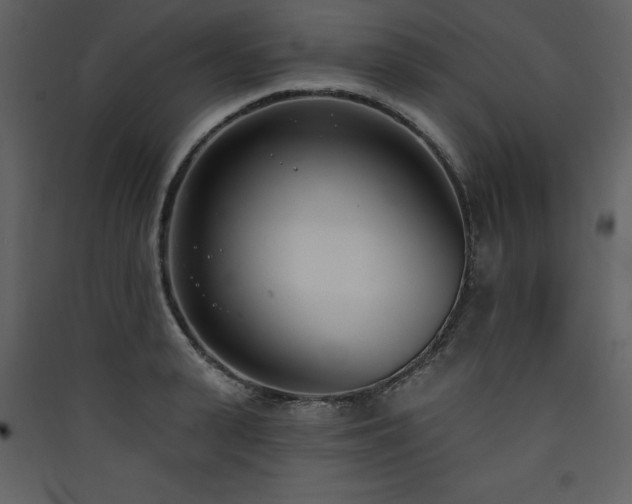 X0000090420943200707131206
