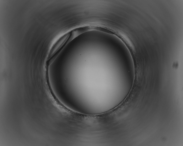 X0000090420944200707131206