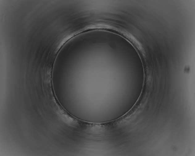 X0000090420945200707131206