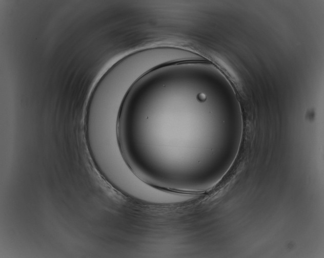 X0000090420948200707131206