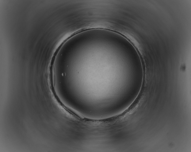 X0000090420949200707131206