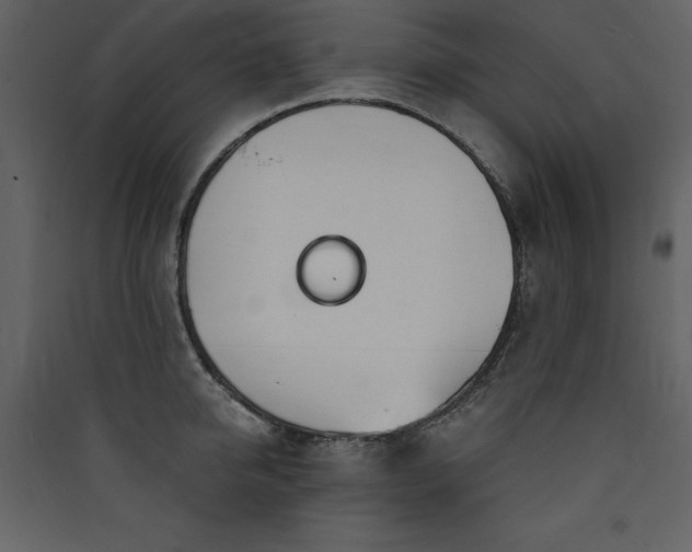 X0000090420950200707131206