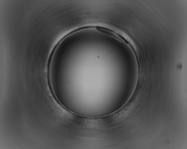 X0000090420951200707131206