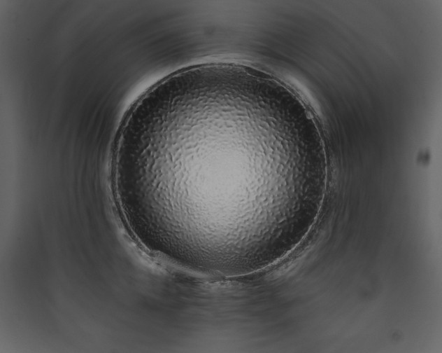 X0000090420952200707131206
