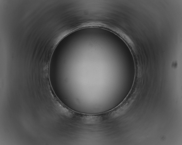 X0000090420953200707131206