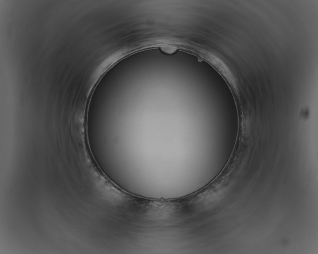 X0000090420954200707131206