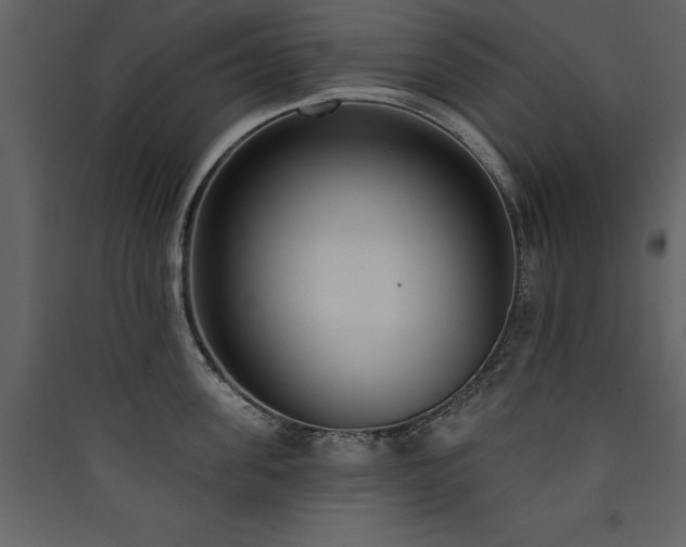 X0000090420955200707131206
