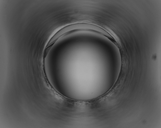 X0000090420956200707131206