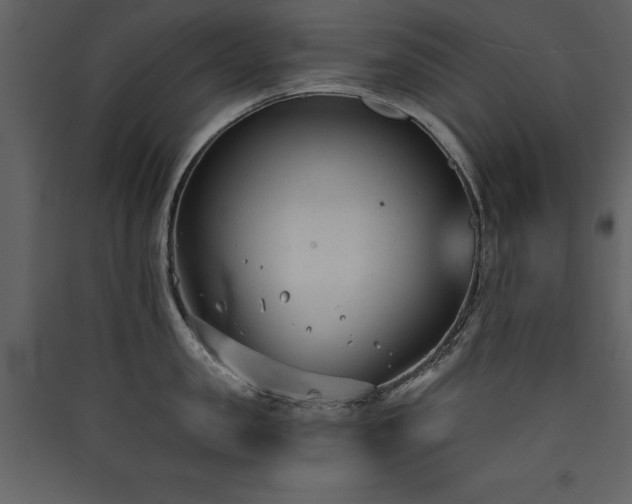 X0000090420957200707131206