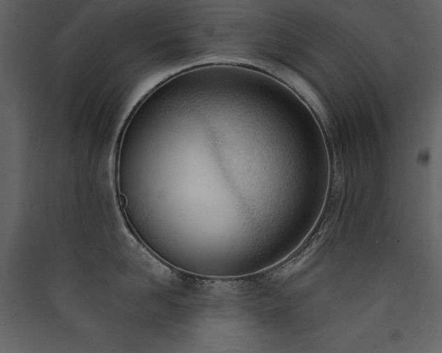 X0000090420958200707131206