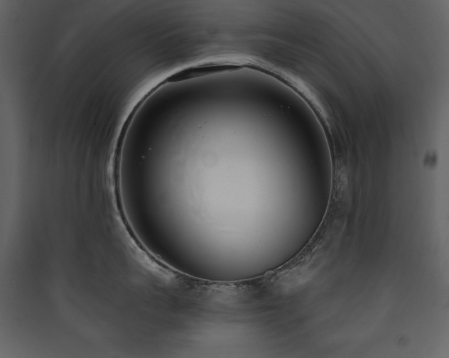 X0000090420959200707131206