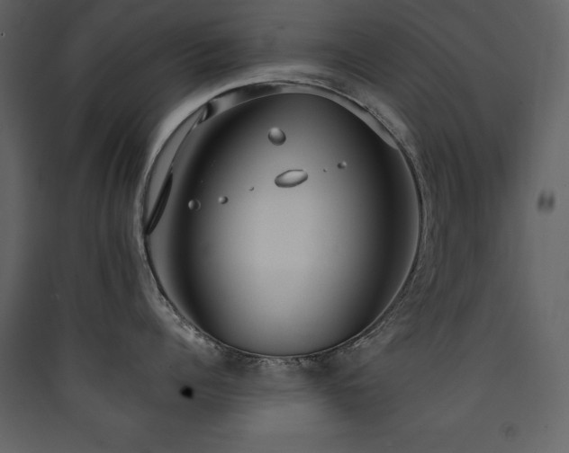 X0000090420960200707131206