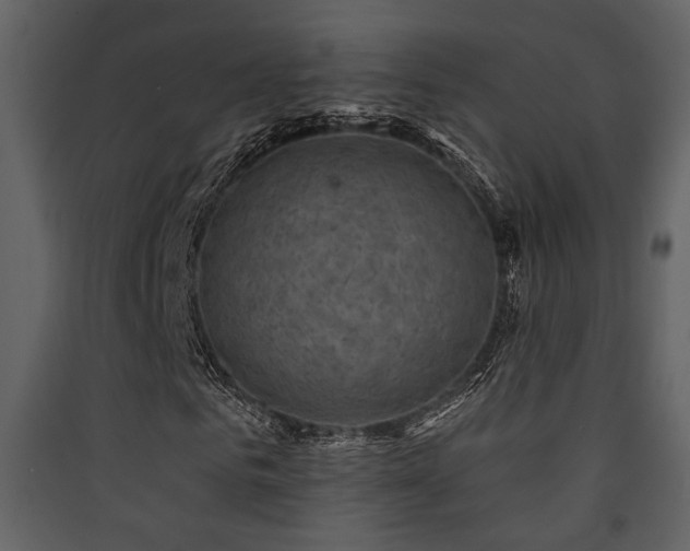 X0000090420961200707131205