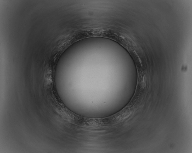 X0000090420962200707131205