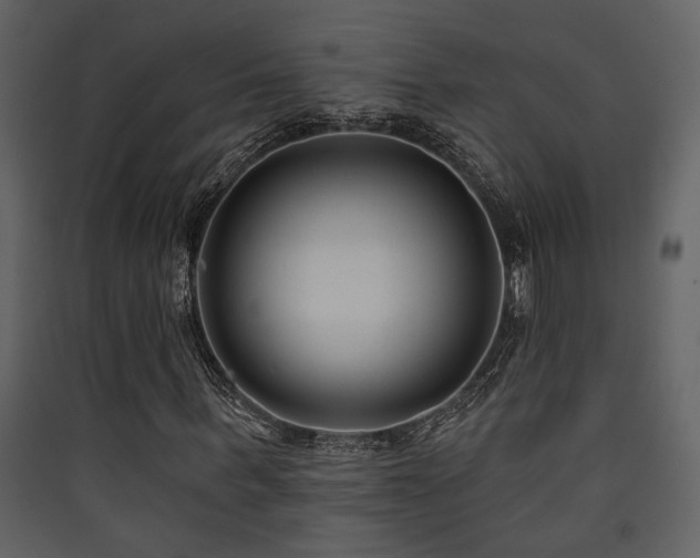 X0000090420963200707131205